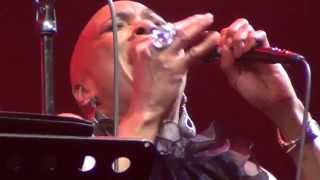 Dee Dee Bridgewater, Irving Mayfield jr & The New Orleans Jazz Orrchestra 21