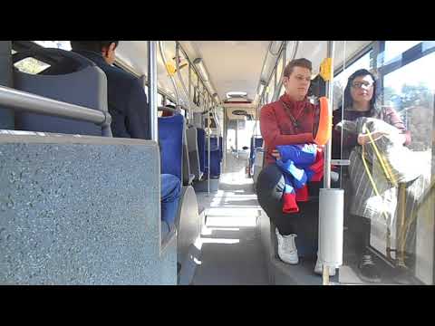 Solaris Trollino 12B 331