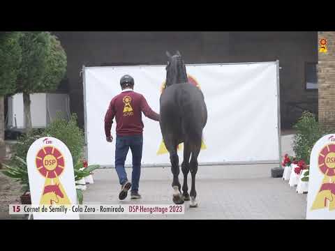 15 Cornet de Semilly - Cola Zero