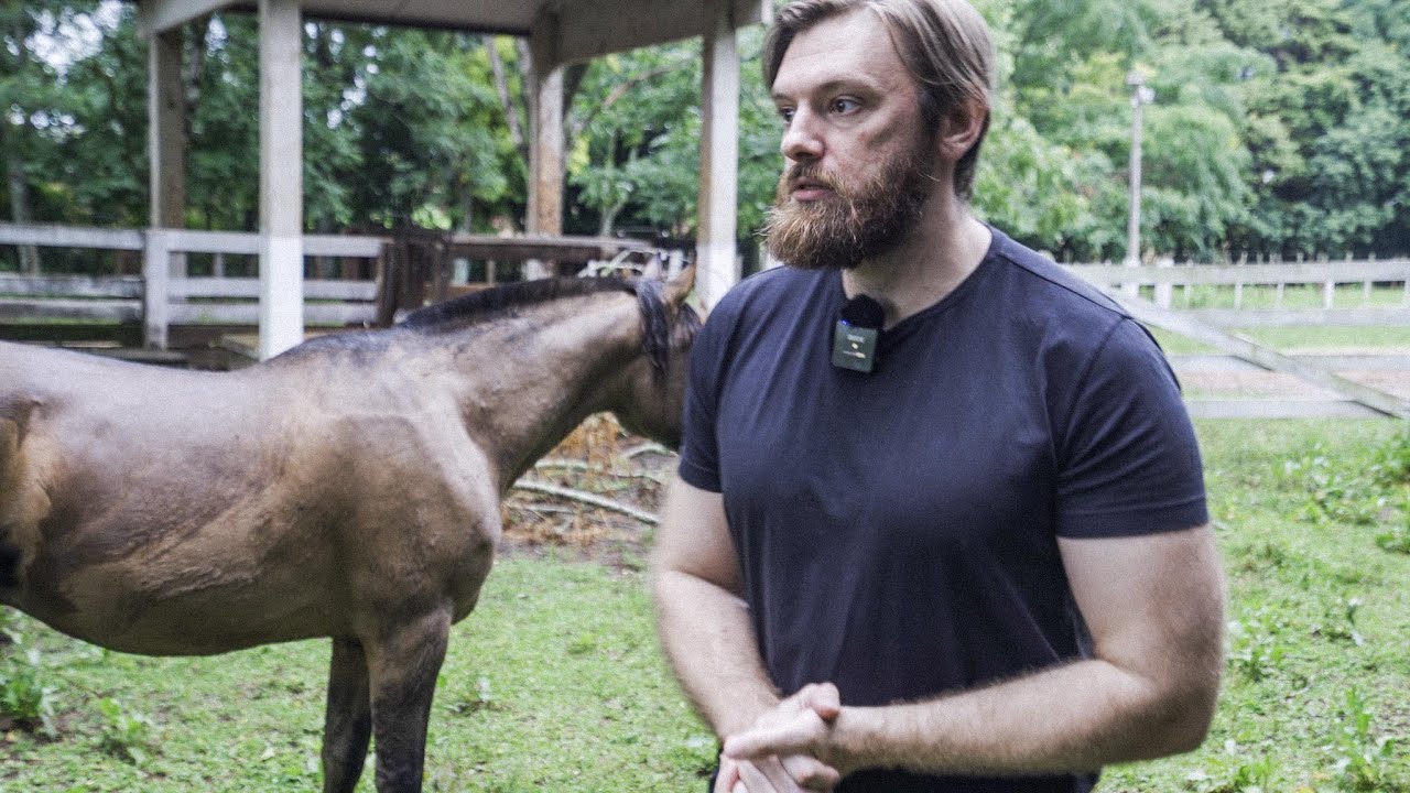 homens de verdade não sentem tristeza.