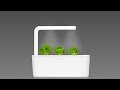 Click &amp; Grow sėklos išmaniajam braškių vazonui  SHGR24x3 3vnt.