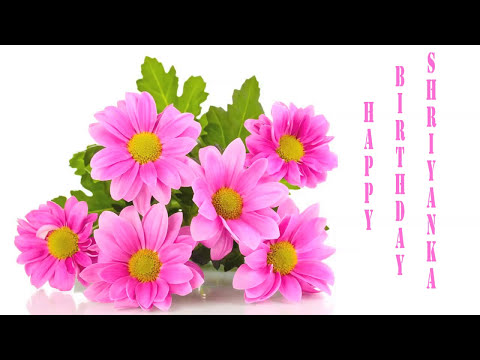 Shriyanka   Flowers & Flores - Happy Birthday