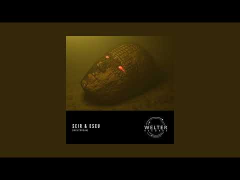 Seir & Escu - Common Sins [WELTER246]
