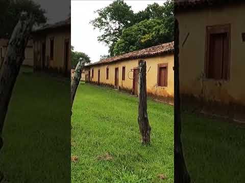 SENZALA original até hoje - muita história