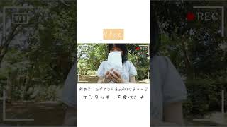 【ポイントの使い道】久々のケンタッキー美味しかった　#shorts