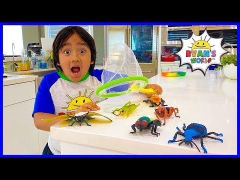 Ryan's Bug Catching at home Pretend Play and Learn Insect Facts for kids!
