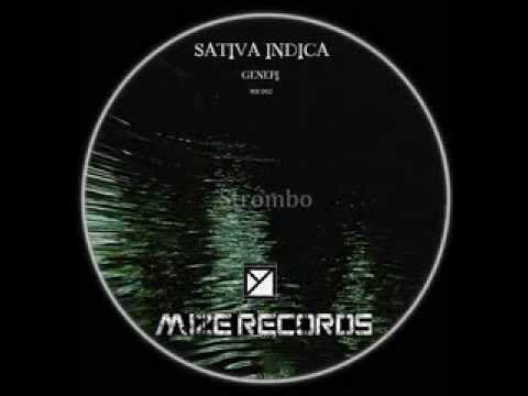 Sativa Indica - Strombo (Original Mix) [Mize Records]