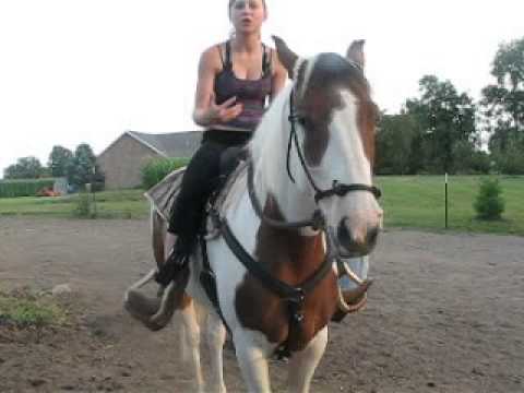 Training Your Horse to Go Around the Barrel Better