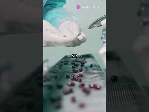 Ayurvedic Capsule Third Party Manufacturer