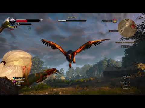 The witcher 3 wild hunt how to kill the griffin