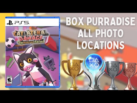 Catlateral Damage: Remeowstered | Box Purradise | All Photo Locations