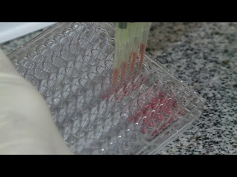 Ciência Sem Limites | Teaser Pesquisa sobre vírus