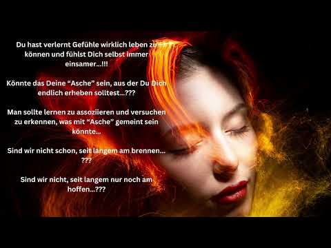 “ Phönix aus der Asche “