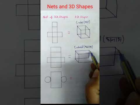 Nets and 3D shapes (part 1)🐼🐯 Nets of 3D shapes l cube, cuboid, cylinder #nets #maths #shorts #viral