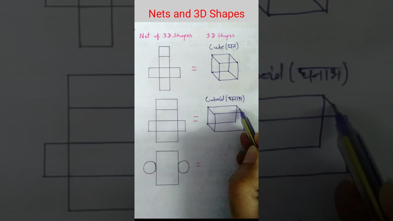 Nets and 3D shapes (part 1)🐼🐯 Nets of 3D shapes l cube, cuboid, cylinder #nets #maths #shorts #viral