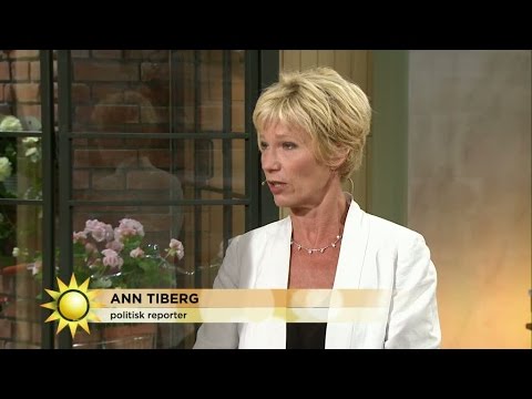 Ann Tiberg inför Jimmie Åkessons sommartal - Nyhetsmorgon (TV4)