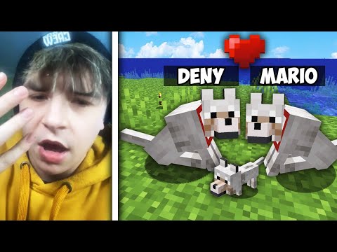 Rozmnožil som Mojeho Psíka s Vitovým Psom *vita sa naštval* - MAJNR