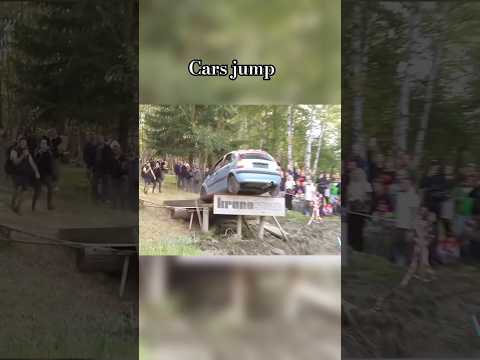 Swamp jumps + rescue bear 🐻 car wreck best of compilation 2023