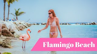 Flamingo Beach in Aruba - Renaissance Private Island