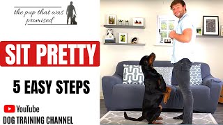 How to teach your dog “Sit Pretty”