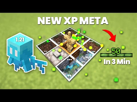 New Easy Silverfish/Allay XP farm 1.21 Quick Build