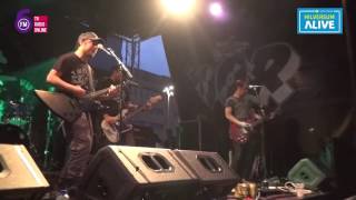 Green Lizard  Skiff Stage