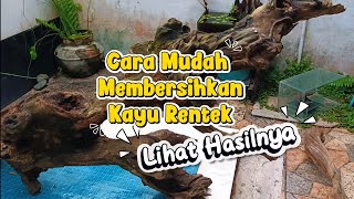 Download lagu Easy Way to Clean Rentek Wood for Aquascape mp3 Download lagu Easy Way to Clean Rentek Wood for Aquascape mp3