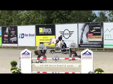 Espresso - 2009 (Carthino Z) 135 training