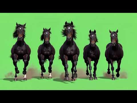 horses chroma
