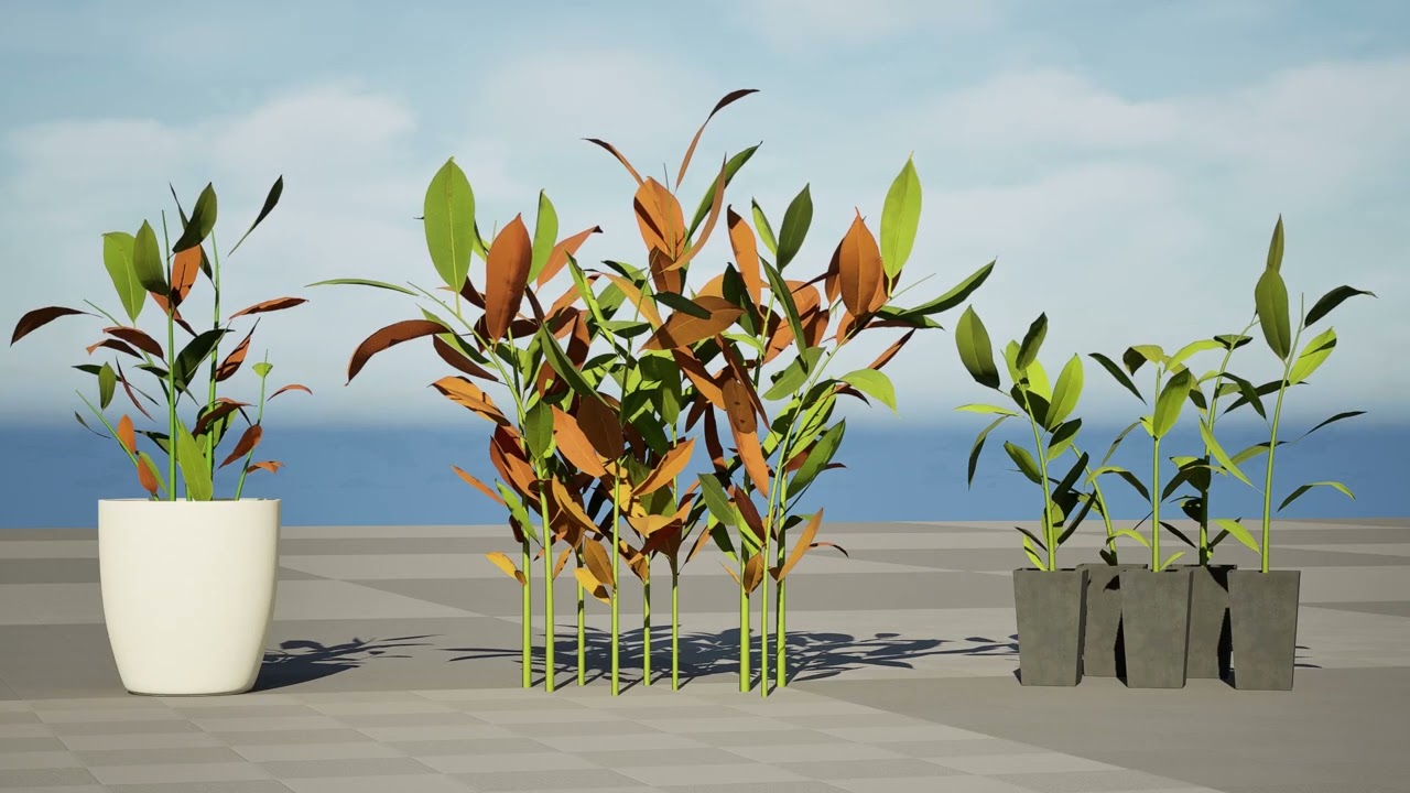 Australian Ginger Alpinia Caerulea 3D Model