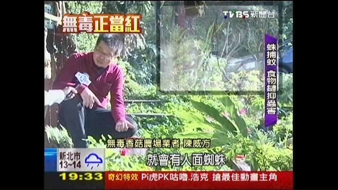 【無毒正當紅】農產品變身禮品　天然菇成高端品牌