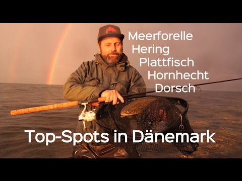 Fishing in Denmark: Top spots for sea trout, herring, flatfish & more. On the road in North Zealand