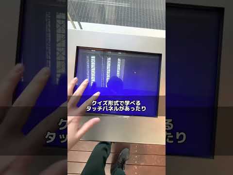 庭で段ボールをどうやって使う？過小評価されない 4 つの賢い使い方  庭園