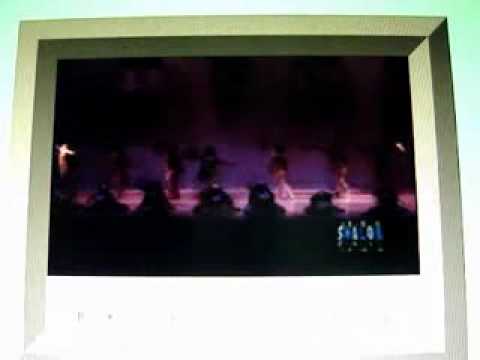 shalom hakotzrim brasil