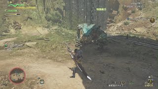 闘技場レイア　ハンマーソロ　0423