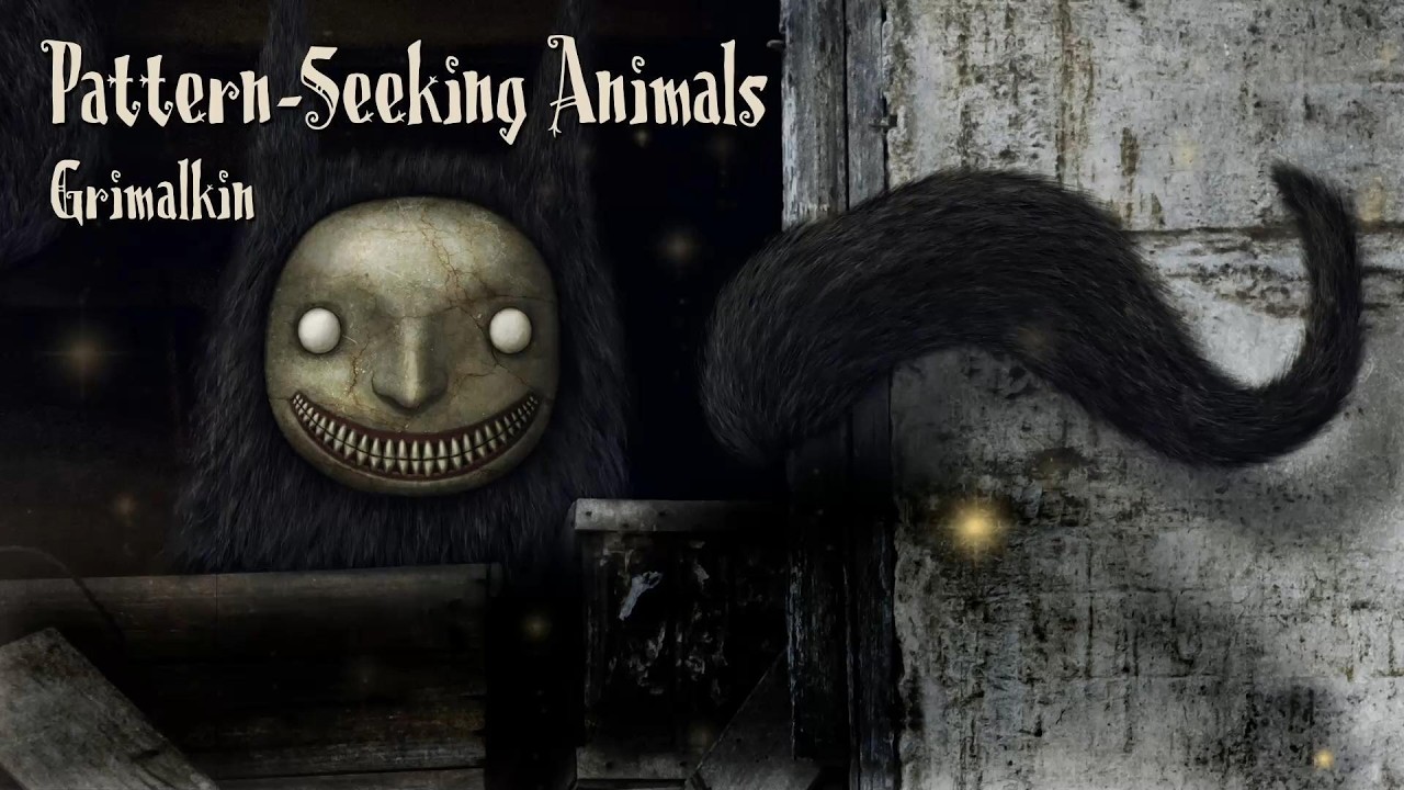 Pattern-Seeking Animals - Traveler on the Wrong Road Home (lyric video) from Grimalkin - YouTube