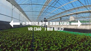 무럭무럭 자라는 고추모종을 VR로 만나보세요