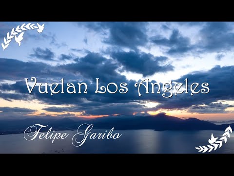 FELIPE GARIBO - Vuelan Los Angeles - ( VIDEO LETRA )