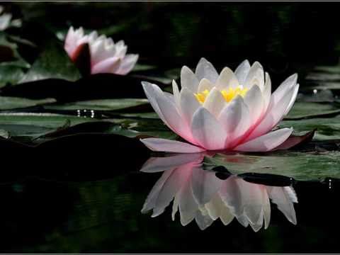 Herbert Pagani a Bobino - L'Amitie