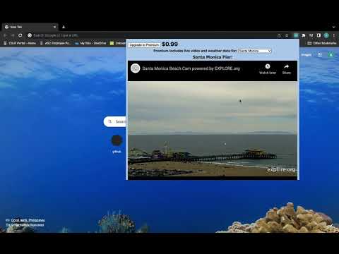 Item video thumbnail