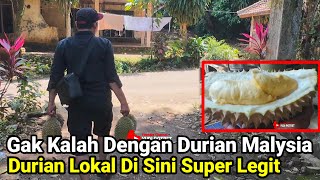 Download lagu Gak Kalah Dengan Durian Malaysia Durian Lokal Di Sini Super Legit mp3