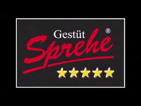 Dancier Gold Hengstvorführung 2020