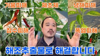죽을 뻔한 작물도 살려냅니다 | 가뭄, 냉해, 침수, 폭염, 동해 피해 전부 가능하다고?  | 비료사관학교 …