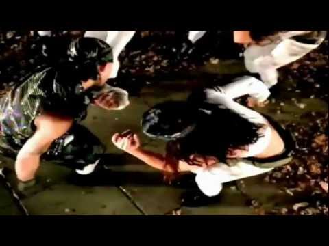 Missy Elliott - Swat Dat Fly [Fanmade edit]