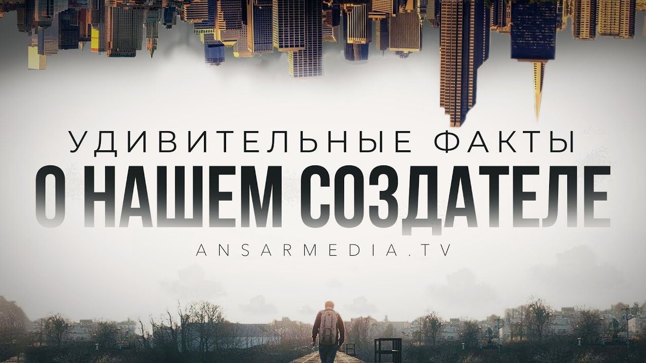 Удивительные факты о нашем Создателе