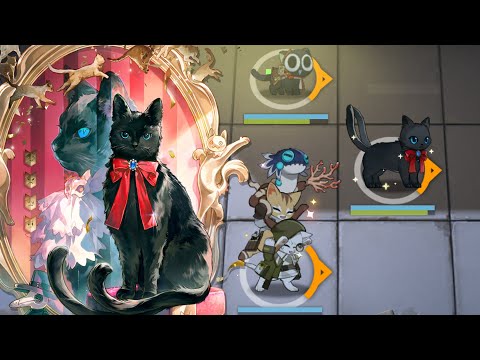 [Arknights] Trio Funny Cats | Miss.Christine Showcase