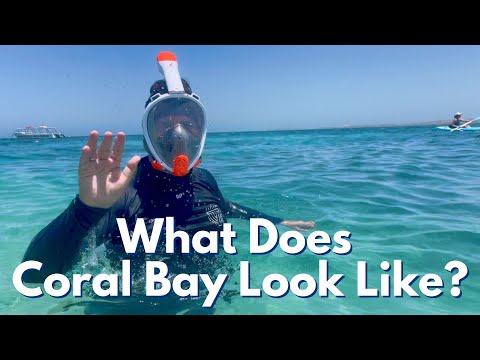 What Does Coral Bay Look Like?