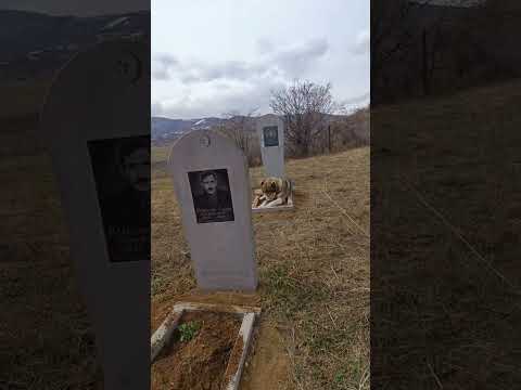 Kanala Abunə Olmağı Unutmayın #animals