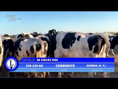 03-09-26 - Subasta Integral Premium de Carlos J.Lanser S.A. - Coronel Moldes, Córdoba