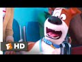 The Secret Life Of Pets 2 At The Vet Scene 1 10 Movieclips